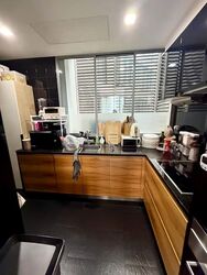 Helios Residences (D9), Apartment #625217491